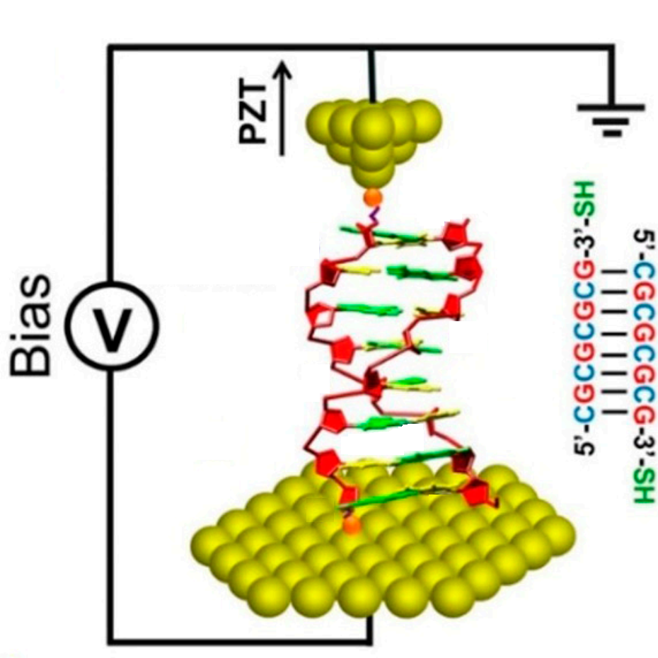 Open Quantum Systems