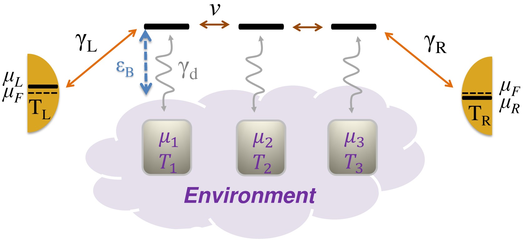A schematic diagram of Landauer-Buttiker approach to thermally-assisted transport across a uniform bridge, where the effects of environment are modelled using voltage-temperature probes.