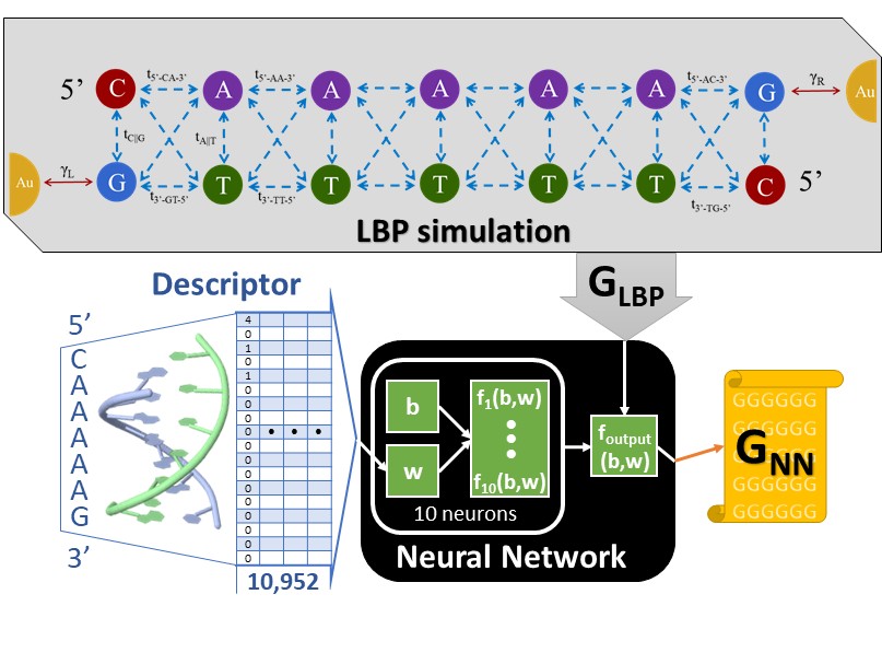 Learning curve showing decrease in prediction error with training set size